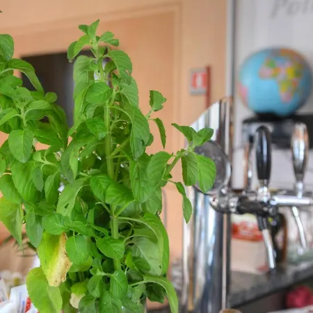 酒店 奥林匹克酒店 迪亚诺马里纳