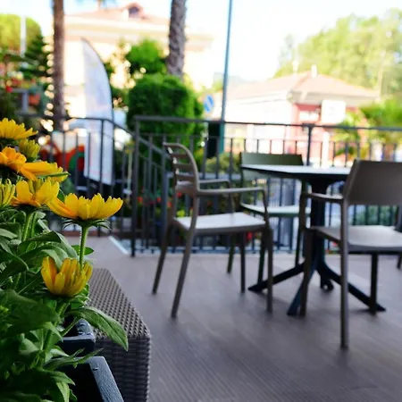 酒店 奥林匹克酒店