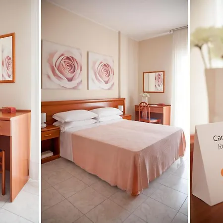 酒店 奥林匹克酒店