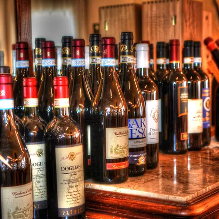 酒店 奥林匹克酒店