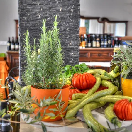 Hotel Olympic Diano Marina