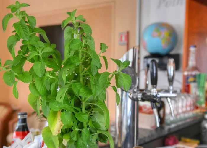 Hotel Olympic Diano Marina