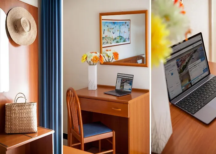 酒店 奥林匹克酒店