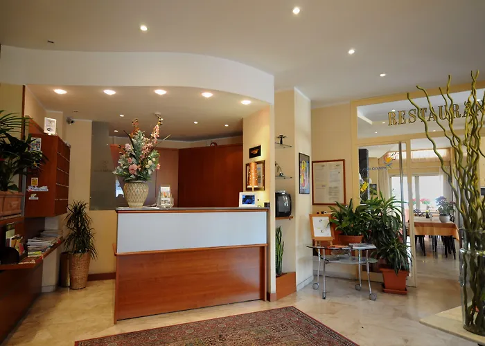 奥林匹克酒店 3*