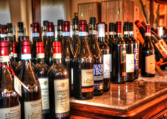 酒店 奥林匹克酒店