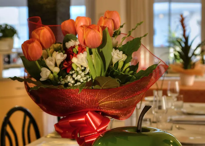 酒店 奥林匹克酒店