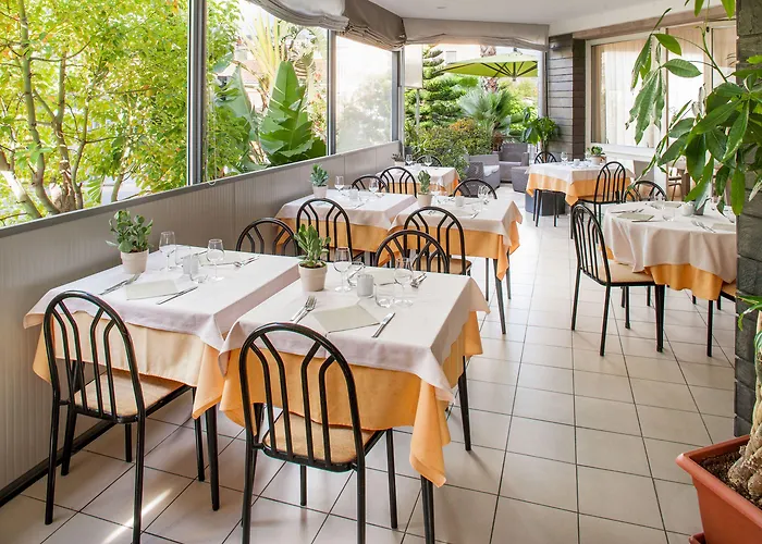 酒店 奥林匹克酒店