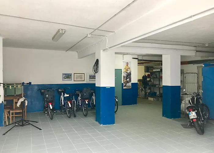 奥林匹克酒店 酒店 3*